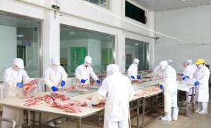 探索自動檢重秤在羊肉及多種肉類重量分選中的創(chuàng)新應(yīng)用