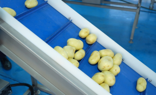 了解土豆自動(dòng)分選機(jī)按重量分級(jí)及自動(dòng)輸送至包裝工位詳情