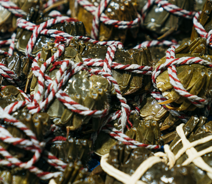 1708564103866358.png ff17325882836f8c.png