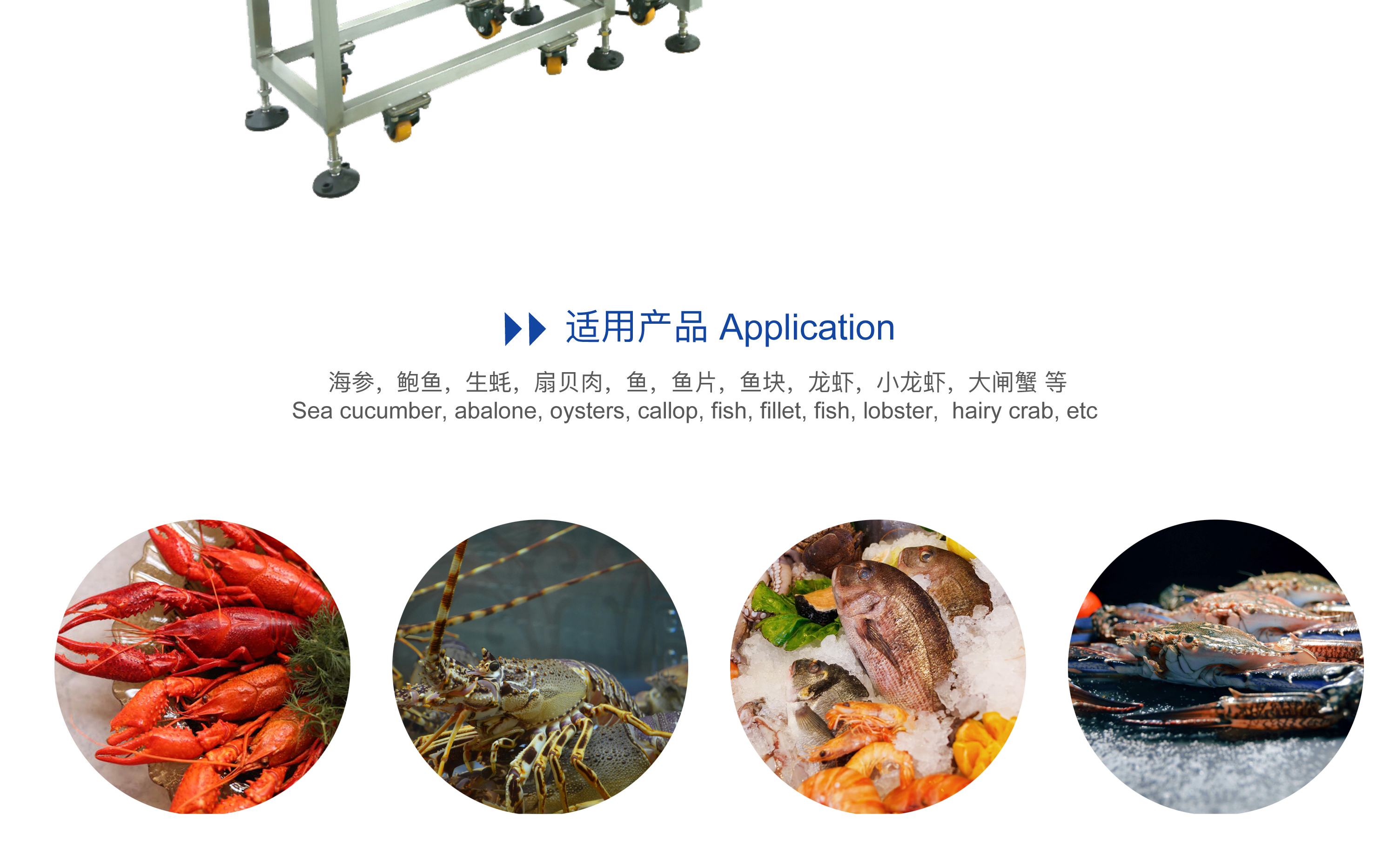 1715655952628780.jpg 1715655952628780.jpg